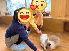 -猫猫幼稚园·撸猫·桌游·电玩