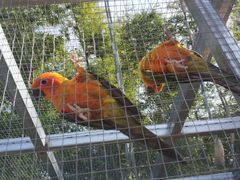 -彩虹桥宠物火化殡葬善终服务(金乐大厦店)