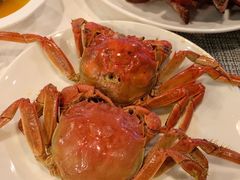 -The COOK·厨餐厅·自助餐(浦东嘉里大酒店)