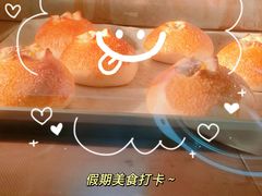 -面包日报