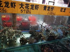 澳洲龙虾-寻味顺德·南记酒家·传统顺德菜·鱼生(广源路店)