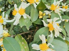 -火炉山森林公园