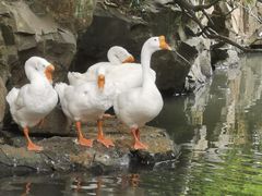 -兰亭风景区