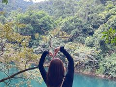 -鼎湖山风景区