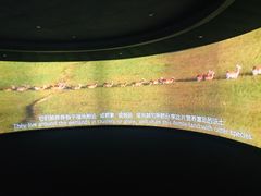-中国湿地博物馆