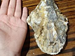 -蚝堡海鲜·威海菜·海肠捞饭·烧烤·亚洲吃蚝公司(幸福门店)