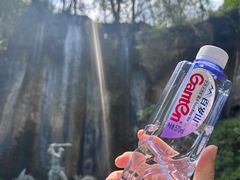 -西双版纳原始森林公园