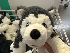 -宜家家居(四元桥商场店)