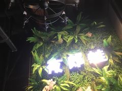 -夜郎蛙(汉街店)