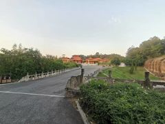 -三水森林公园