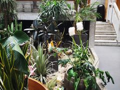 -茶颜悦色(吾悦广场六号门店)