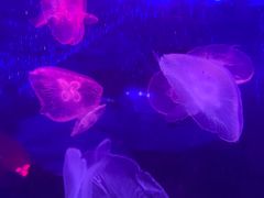 -龙湖南京江北天街