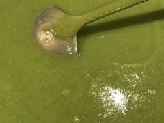 -阿斯牛牛·凉山菜(新会展店)