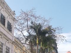 -佛山华盖山公园