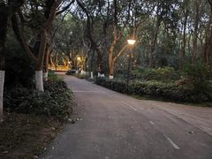 -燕晗山郊野公园