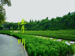 -上海市龙华烈士陵园