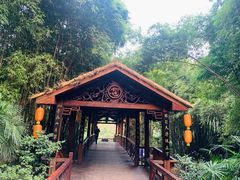 -天赐温泉
