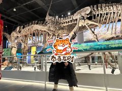 -国家自然博物馆