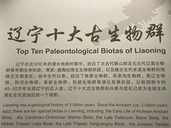 -辽宁古生物博物馆