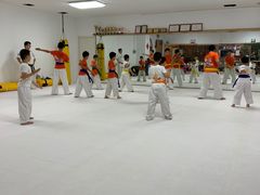 -极真空手道疾风道场(虹口凉城店)