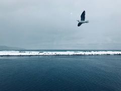 -网走流冰观光破冰船极光号