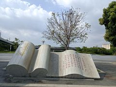 -宝安西湾红树林湿地公园