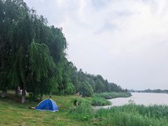 -蒲河岛湿地公园