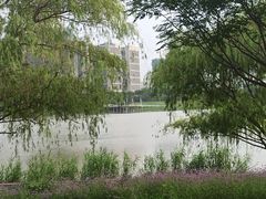 -灞河西岸滨河公园