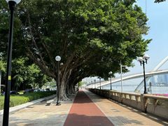 -二沙岛艺术公园