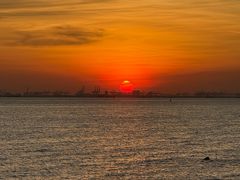 -宝安西湾红树林湿地公园