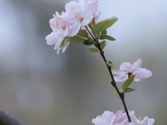 -桂溪生态公园