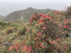 -广东天露山旅游度假区