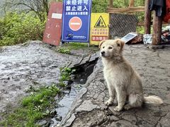 -九峰山