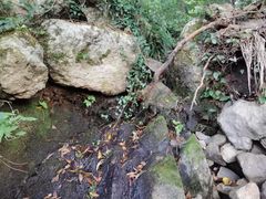 -达蓬山旅游度假区