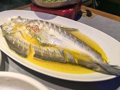 清蒸鸡汁白鱼-姑苏家宴·苏帮菜·松鼠桂鱼(苏州总店)