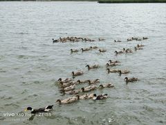 -野鸭湖国家湿地公园