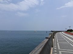 -星光岛