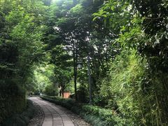 -法云古村