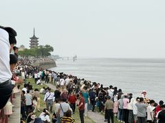 -观潮胜地公园