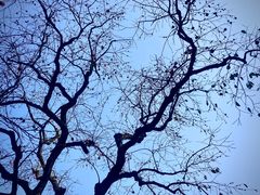 -丹山赤水风景名胜区