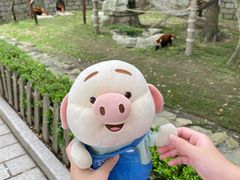-上海野生动物园