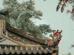 -深圳国际园林花卉博览园