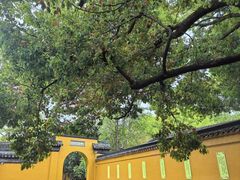 -西园寺素食(西园弄戒幢律寺店)
