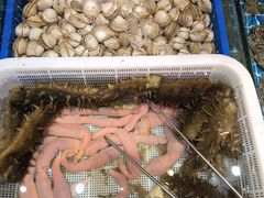 -老大连·海肠捞饭·大连海鲜大连菜(西安路店)
