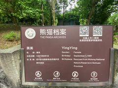 -都江堰中华大熊猫苑