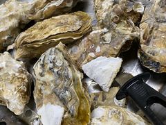 -威海海鲜王(窑头路店)