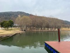 -长广溪湿地公园