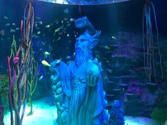 -沈阳海洋探索中心