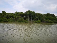 -东寨港红树林旅游区