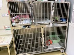 -瑞派宠物医院·CT影像中心·猫友好医院(奥城店)